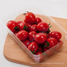 China Suppliers Plastic Food Tray, Vacuum Formed Plastic Fruit Tray Container